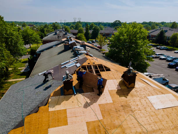 Trusted Roof Replacement service in Windsor, CA - Brentwood Metal Roofing